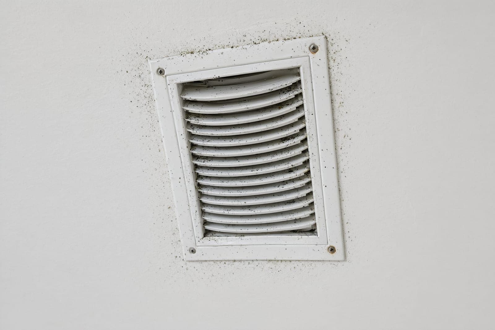 White ceiling supply vent with small black mold specks on the louvers