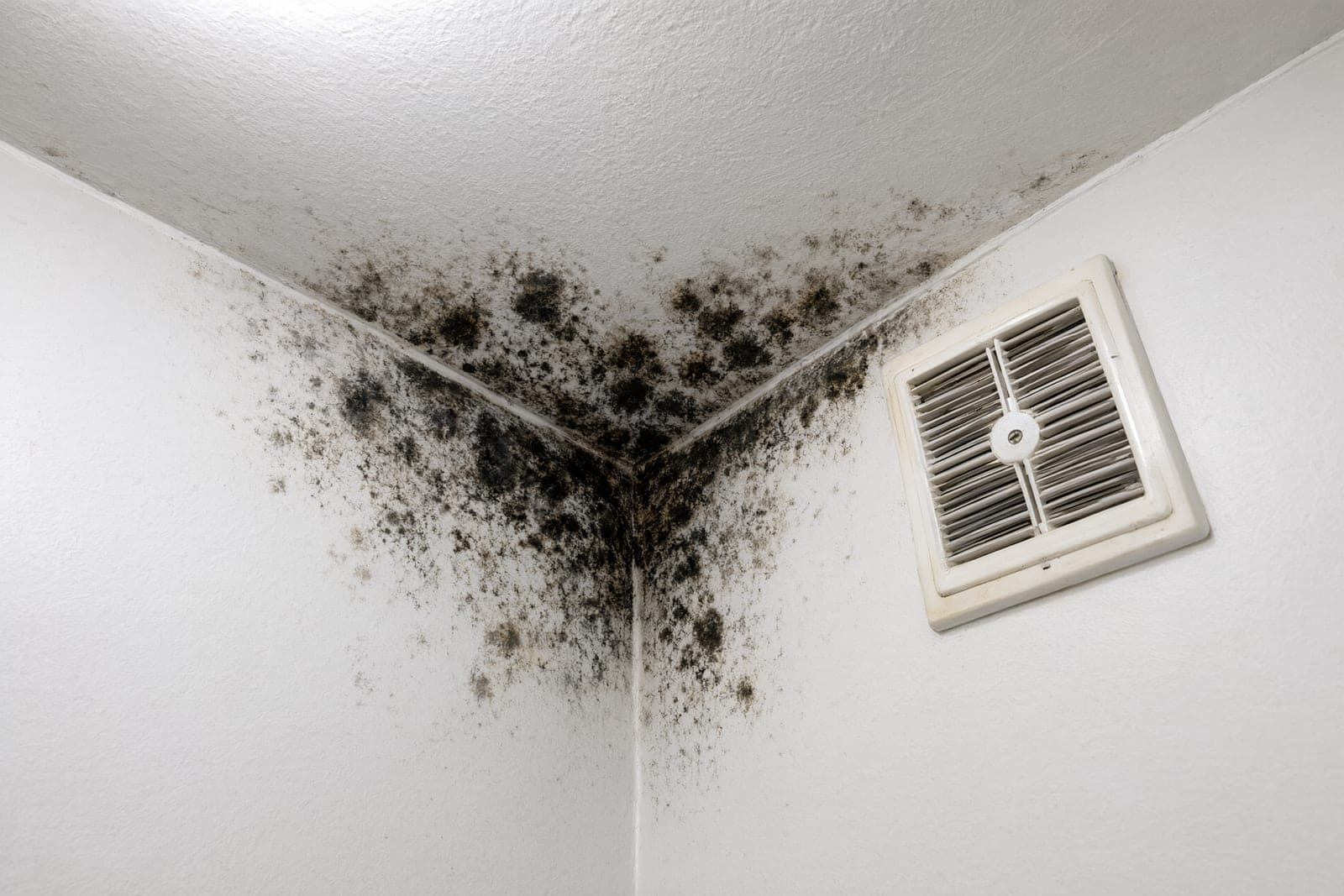 Black mold spots in a bathroom ceiling corner next to an exhaust fan grille